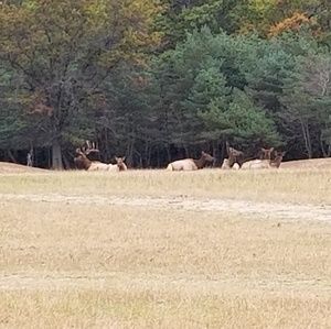 Meet your Posher, Ann